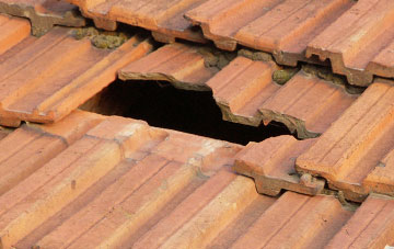 roof repair Lyde, Shropshire